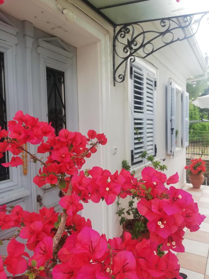 La Casa Di Caterina: Nature,Relax And Private Garden Lefkáda Kültér fotó