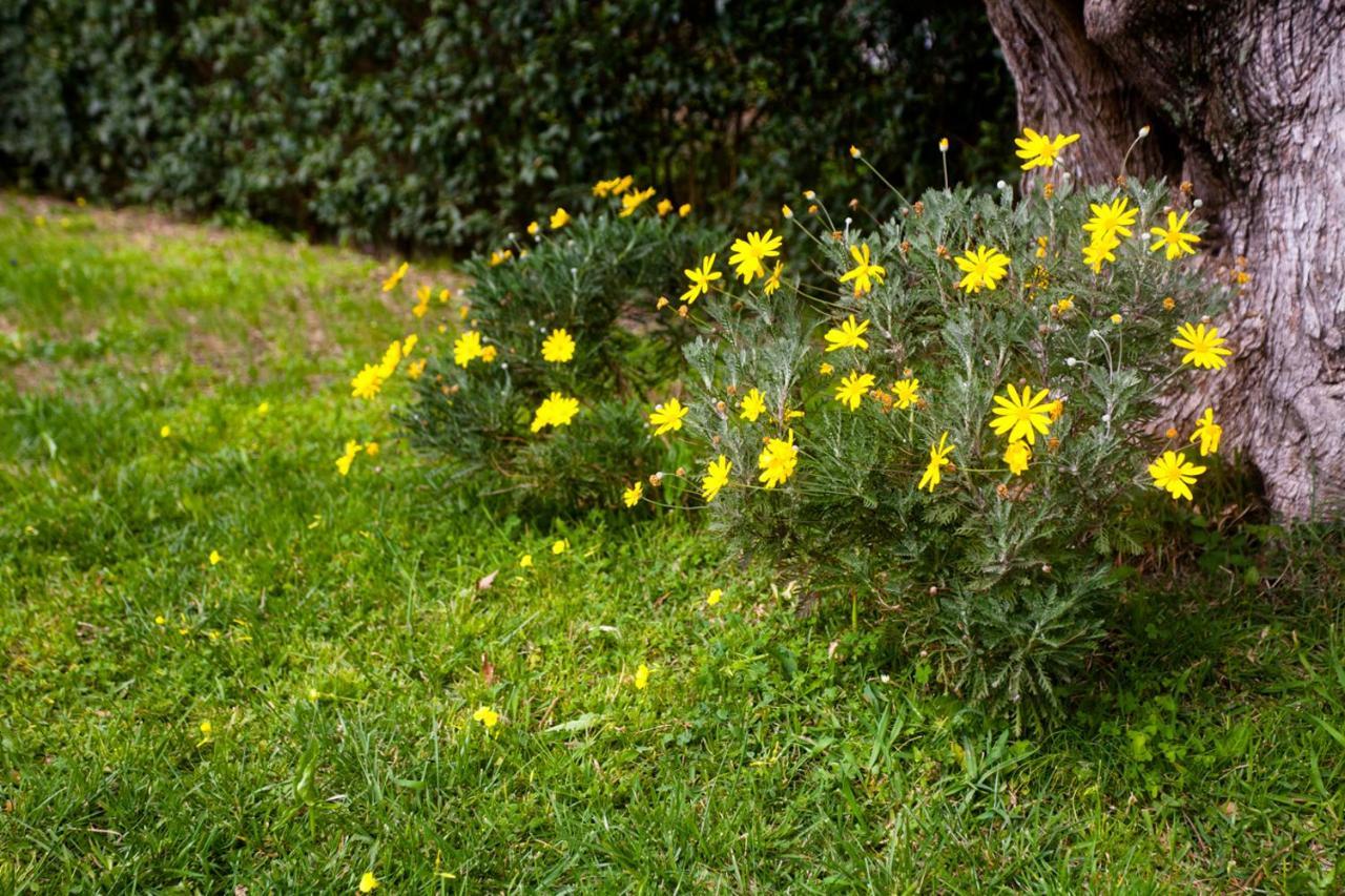 La Casa Di Caterina: Nature,Relax And Private Garden Lefkáda Kültér fotó