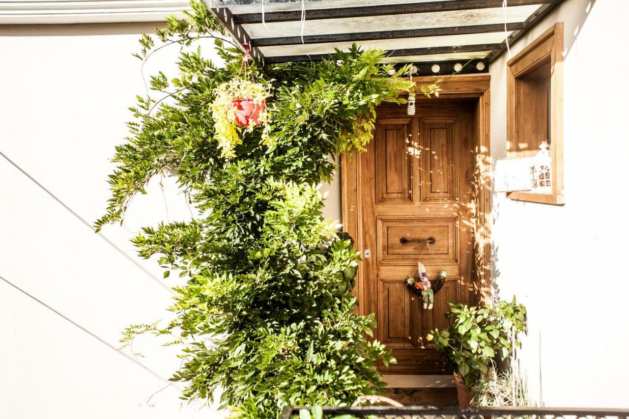 La Casa Di Caterina: Nature,Relax And Private Garden Lefkáda Kültér fotó